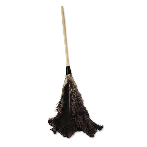Boardwalk 28GY Professional Ostrich Feather Duster, 16" Handle
