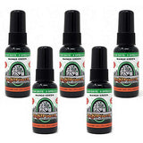 BluntPower (Mango Green, 5 Pack) Concentrated Air Freshener - Premium Oil Based Air Freshener Spray For Home and Car - Long-Lasting Bathroom Spray