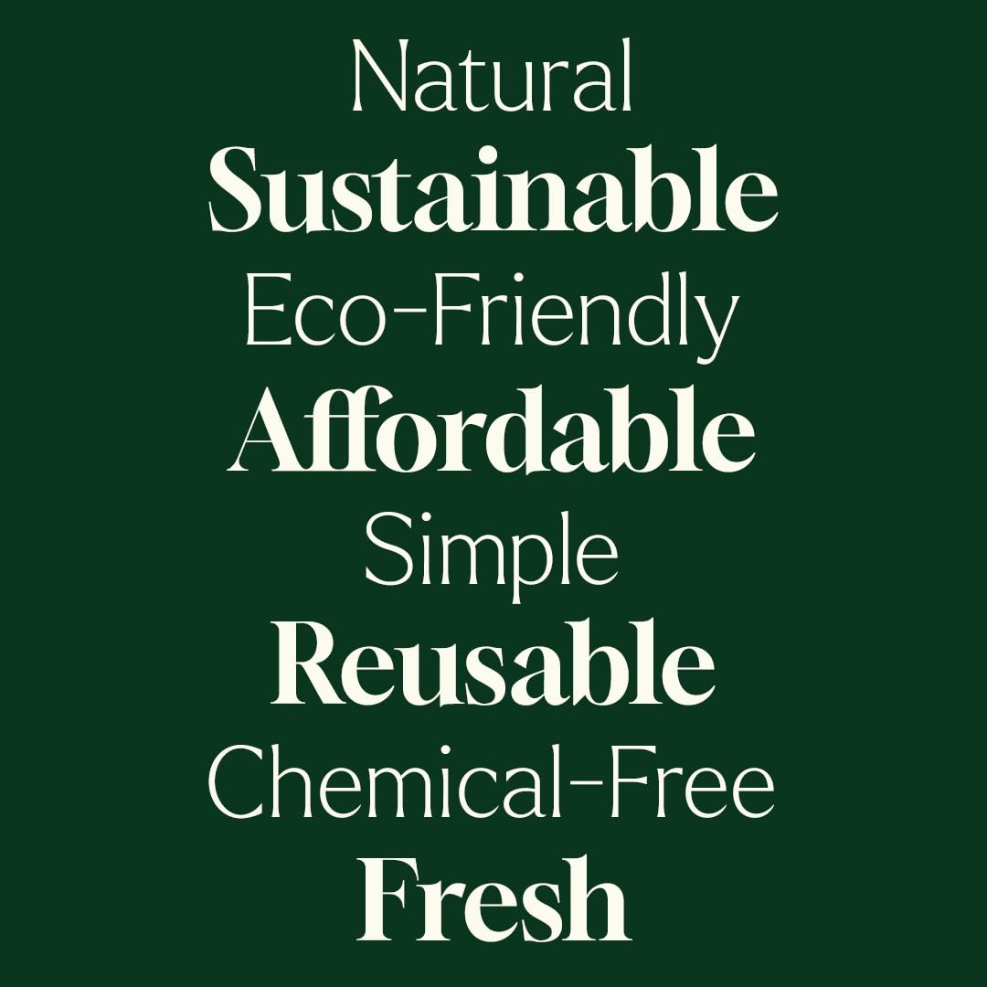 Plant Therapy Home Wool Dryer Balls 6-Pack 100% New Zealand Wool, Extra Large, Eco-Friendly, Reusable Natural Fabric Softener, All Natural & Chemical