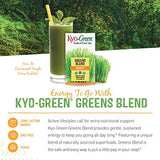 Kyolic Kyo-Green Greens Blend Energy*, Powdered Drink Mix, 10 oz