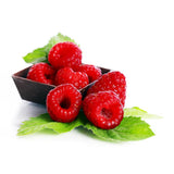 Red Raspberry Extract - Premium Quality Flavoring Extract for Baking - 16 ounces