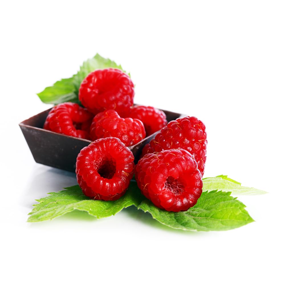 Red Raspberry Extract - Premium Quality Flavoring Extract for Baking - 16 ounces
