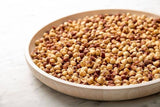 1 LB | Holmquist Hazelnuts Dry Roasted Hazelnuts | Sea Salt | Skins Mostly Removed | HEART HEALTHY | NON-GMO, GLUTEN FREE, KOSHER, RESEALABLE