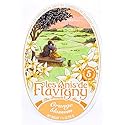 Les Anis de Flavigny French Mints Candy - Orange Blossom Flavor Hard Candy, Natural Gourmet Sweets in Classic Tin, 50g (1.75 oz) Each (Pack of 2)