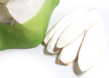 NEW PACKAGING Rhizoma Dioscoreae Chinese Yam Shan Yao Dried Slice ?? 4 Oz.