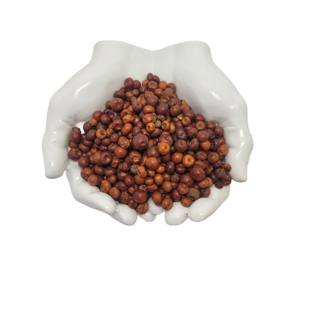 HealinGifts Uva-ursi Pinguica Bearberry Kinnikinnick dried fruit 4oz
