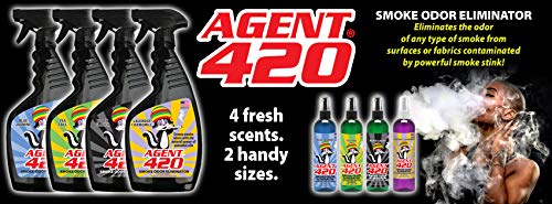 Smoke Eater Cigarette, Cigar, Cannabis & Tobacco Odor Eliminator Spray & Air Freshener for Car, Home, Clothes - Black Glacier, 4 oz Travel Size - Tea