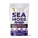 Purple Irish Sea Moss | Organic Irish Moss Raw | Wildcrafted & Sun-Dried from St. Lucia | 100% Natural | High in Nutrients & Minerals | Makes 50oz+