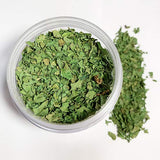 Spicylux Savory Herbs | Parsley, Tarragon, Cilantro Leaves, Savory, Dried Chives | Savory Herbs, Spices & Seasonings (Set of 5) - Packed in U.S.A.