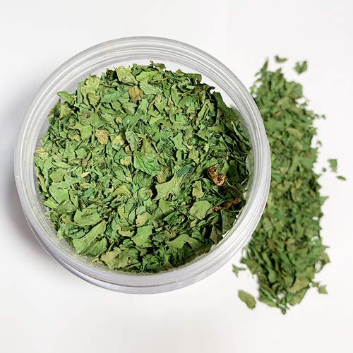Spicylux Savory Herbs | Parsley, Tarragon, Cilantro Leaves, Savory, Dried Chives | Savory Herbs, Spices & Seasonings (Set of 5) - Packed in U.S.A.