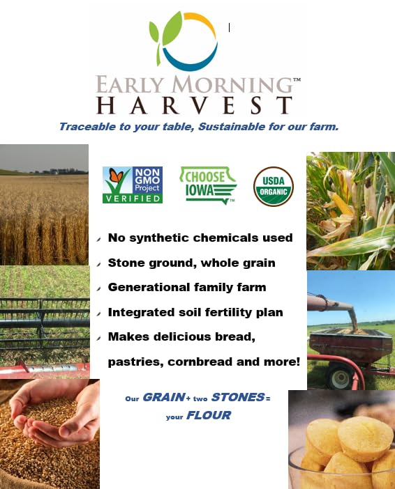Early Morning Harvest Organic Dark Rye - Made from Organic, Non-GMO Rye - Stone Ground Dark Flour for Bread and Baking, Pumpernickel Flour, Sourdough