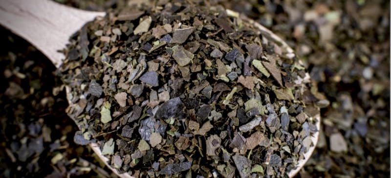 Mont Coffee Ecuador Guayusa Tea - Premium Amazonian Loose Leaf, Natural Caffeine for Smooth Focus Energy, No Jitters No Crash, Kichwa Tradition, 4 oz
