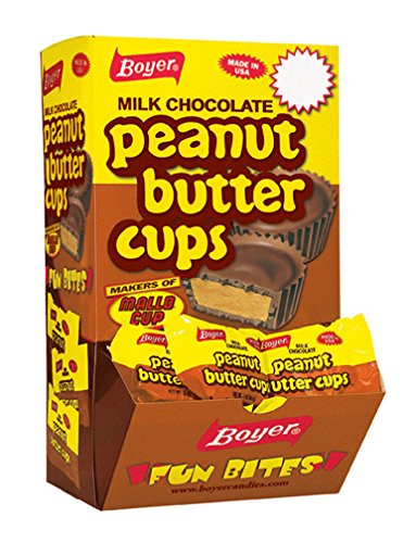 Boyer Milk Chocolate Peanut Butter Cup Fun Bites Changemaker (60 pcs.)
