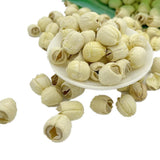 Greenlike Premium All Natural Dried Lotus Seeds ??? 12oz