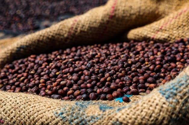 Ethiopian Yirgacheffee Single Origin Coffee