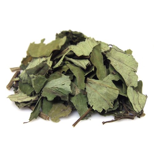 leafnflower Herb: Saururus Chinensis (Lizard's tail plant) / Sam Bak Cho 2oz / South Korea Imported