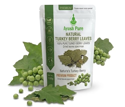 Turkey Berry Leaves Dried, 100 Count, Pure Grade A Quality