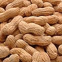 Peanut In The Shell, Salted, 25 Pound -- 1 Case