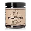 Anima Mundi Apothecary Gynostemma - Wild Grown Jiaogulan Leaf for Tea - Natural Source of Nutrients, Antioxidants, Vitamins and Minerals - Longevity