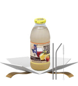 Lemonade 16oz Bundle with Reusable Straw - Refreshing Peach Lemon Beverage with Natural Flavors for Easy Serving - Gift Set (2 Items)