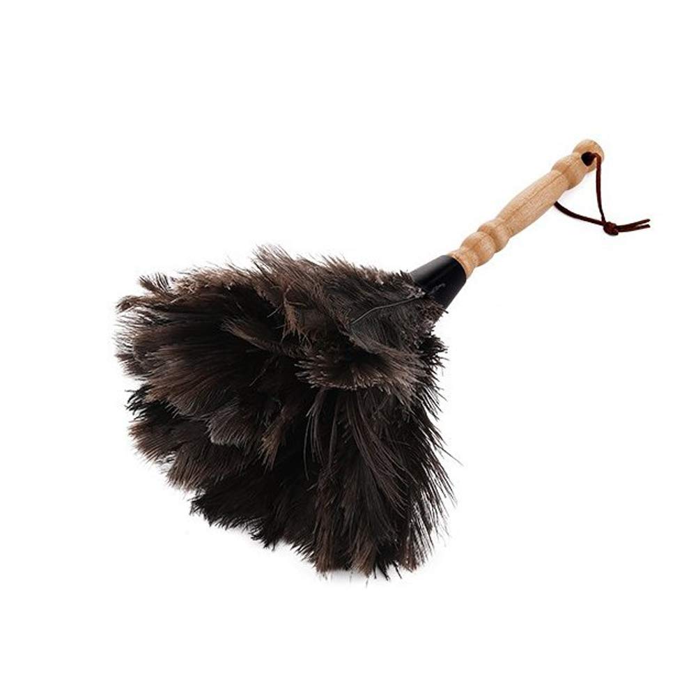 Roexboz Feather Duster Washable Soft Duster Antistatic Animal Feather Brush Natural Ostrich Feathers with Long Wooden Handle Feather Duster for House