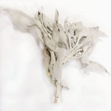SOUL STICKS California White Sage Organic Loose Clusters Leaves Bulk for Cleansing, Purification, Meditation, Smudging and Negativity Clearing (3 lbs)