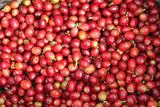 Cafe Mis Abuelos Puerto Rican Gourmet Ground Coffee - Caribbean Gourmet Coffee - 100% Arabic Beans - 100% from Puerto Rico (2 pack - 10oz each)