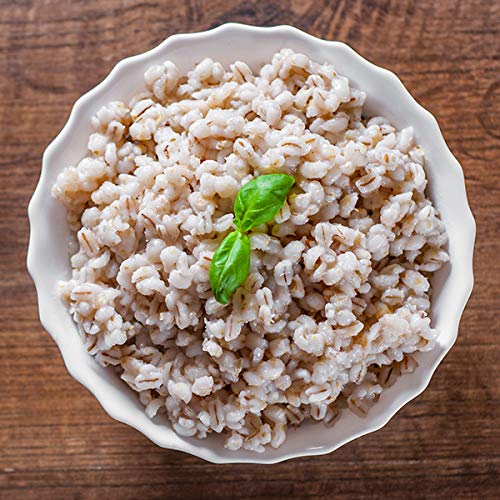 1000 Springs Mill - Organic Purple Barley | Used for Cereals, Salads, Whole Wheat Bread, Fresh Barley Flour, Sprouting Seeds, and more | Bulk Dried