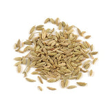 Essential Spice Fennel Seeds, 60 oz - Whole, Aromatic Seeds with Sweet, Licorice-Like Flavor - Perfect for Sausage, Baking, Curries, Teas