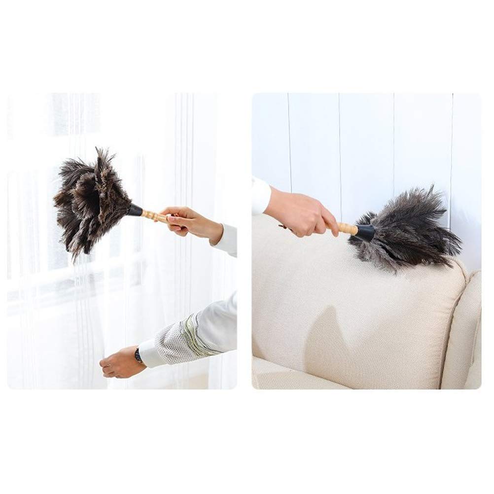 Roexboz Feather Duster Washable Soft Duster Antistatic Animal Feather Brush Natural Ostrich Feathers with Long Wooden Handle Feather Duster for House