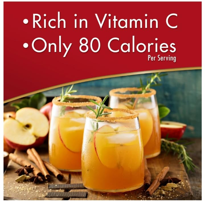 Alpine Spiced Cider Apple Flavor Drink Mix, 10 pouches (Pack of 1)