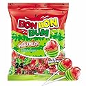 Bon Bon Bum - Fruity Lollipop with Bubble Gum center - Perfect for Parties and Sharing (24 Pieces, Sandia (Watermelon))