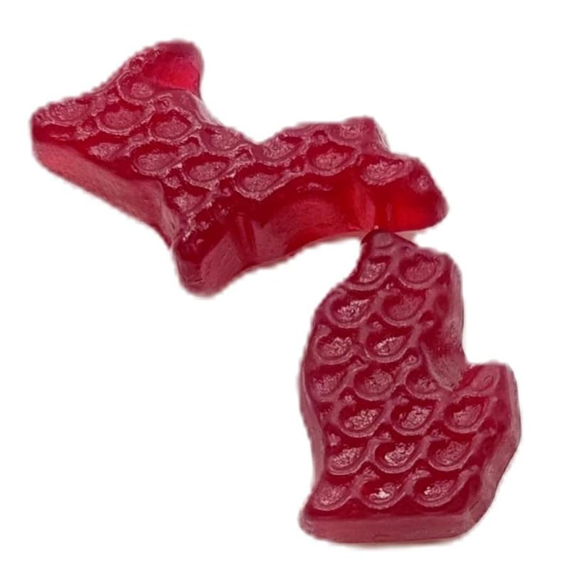 Michi-Cherries Shurms Michigan Shaped Fruit Flavored Gummy Candy, Natural Cherry Flavor, No Artificial Colors - 7oz Bag