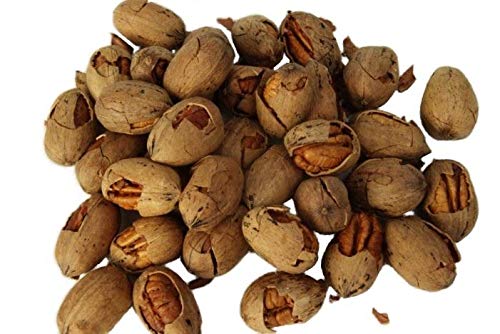 Texas -Cracked- Pecans with Shell 10-Pound Bag | Millican Pecan since 1888 | San Saba, Texas
