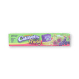 Canels Gum Fruity Flavor For Kids, 60 Count (GUM - CHANGE MAKER)