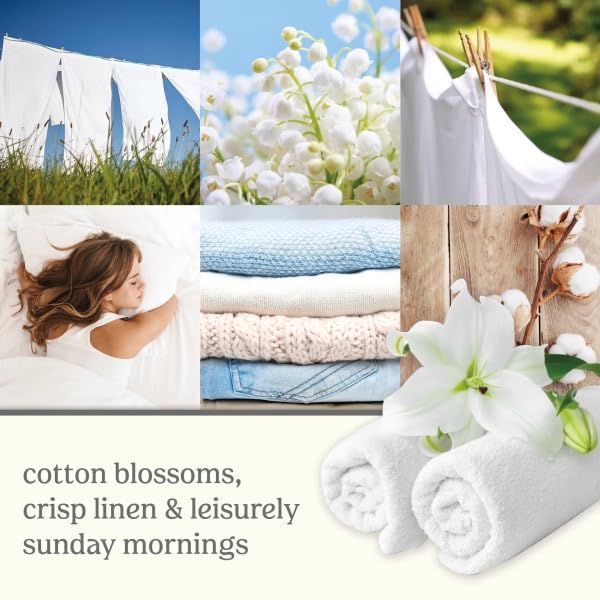 Yankee Candle Clean Cotton Electric Home Fragrance Scent Plug Refill (Pack of 4)