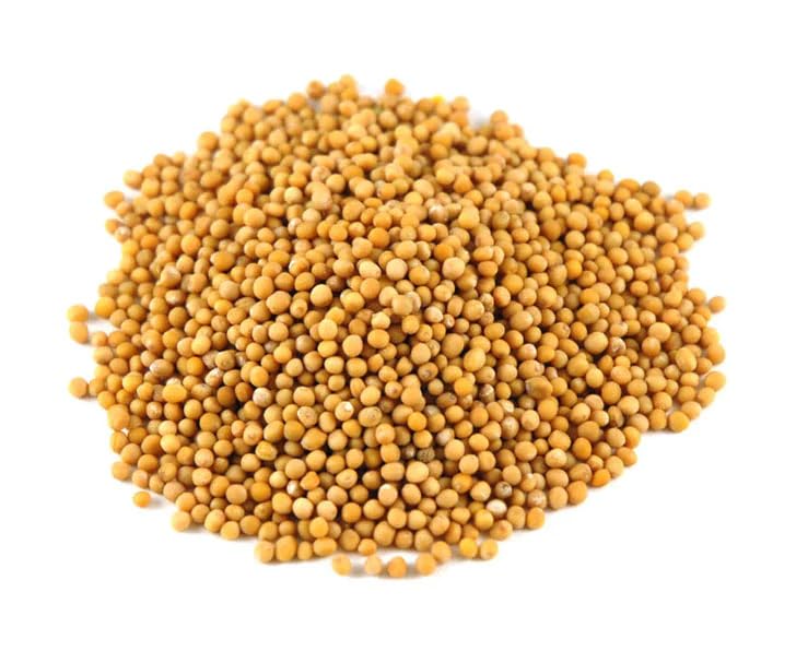 Essential Spice Yellow Mustard Seeds, 25 oz - Mild, Tangy & Earthy Flavor - Whole Seeds for Pickling, Cooking, Mustard Making & Spice Blends