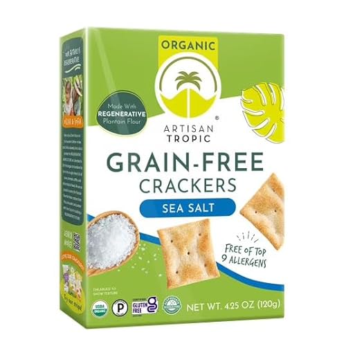 ARTISAN TROPIC Organic Sea Salt Crackers, 4.25 OZ
