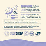 DanSoap Powdered Laundry Soap | All Natural, Zero Waste | Lavender (70 Washes)