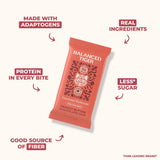 Balanced Tiger Vegan Protein Bars | Plant Based Protein Bars w/Functional Mushrooms - Lions Mane, Shitake, Reishi & Maitake | 12 Bars Variety Box
