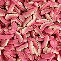 Fruity Edible Gummy Teeth - Fun Shaped Gummies - Halloween Candy Body Parts Gummy Teeth, by Queen City Candy Cave (1 Pound)