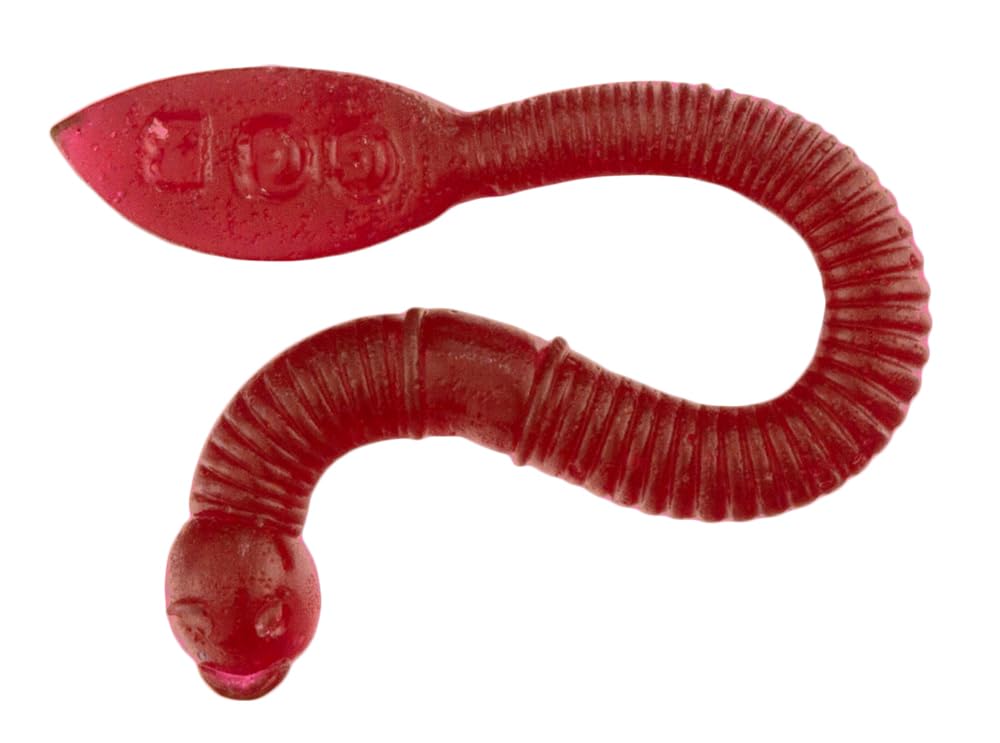 Gummy Fishing Worms - Reel-In Flavorful Fun with GGB Candies! You'll Fall for this Candy Experience, Hook, Line, and Sinker! (Cherry/Blue Raspberry