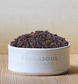 Terrasoul Superfoods Organic Sweet Cacao Nibs, 2 Lbs (2 Pack) - Coconut Sugar Sweetened | Antioxidants | Magnesium