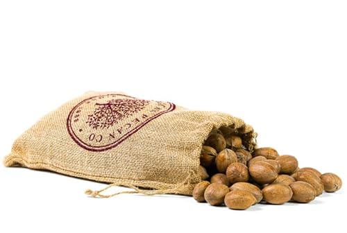 INSHELL Texas Fresh Pecans 5-Pound Burlap Bag | In Shell | Millican Pecan since 1888 | San Saba, Texas
