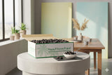 Ajwa Al Madina Dates 3KG (6.6 lbs) - Perfect for juicing and baking -Fresh from Madina Saudi Arabia