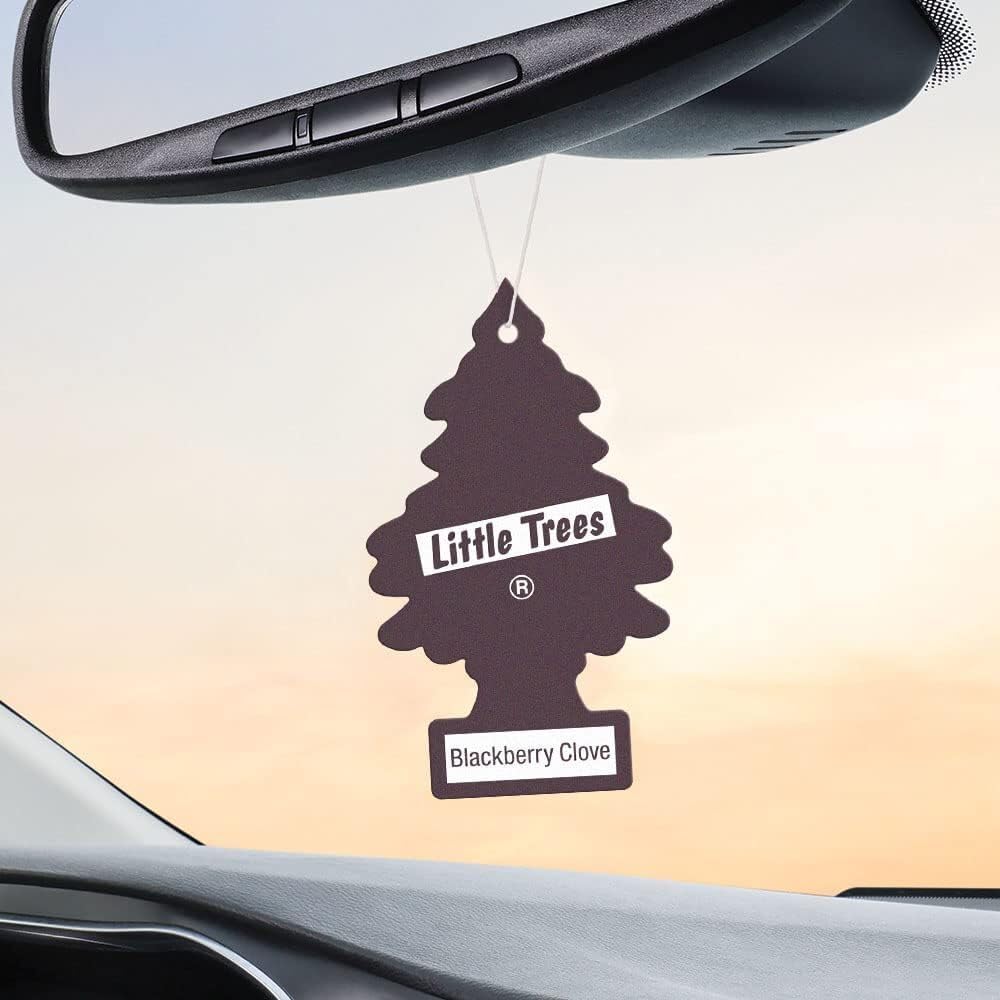 LITTLE TREES Car Air Freshener | Hanging Paper Tree for Home or Car | Blackberry Clove | Pack of 24