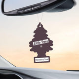 LITTLE TREES Car Air Freshener | Hanging Paper Tree for Home or Car | Blackberry Clove | Pack of 24