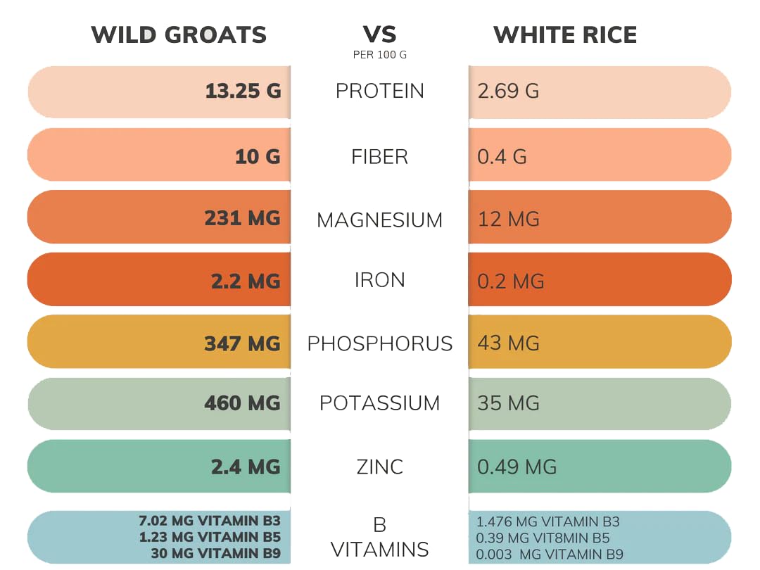 WILD GROATS Organic Raw Buckwheat - Grown in USA, Sproutable Seeds, 16 Oz. Gluten Free, Hulled, Vegan Complete Protein, Whole Grain, Non-GMO | For Sprouting, Flour, Cereal, Porridge, Cooking