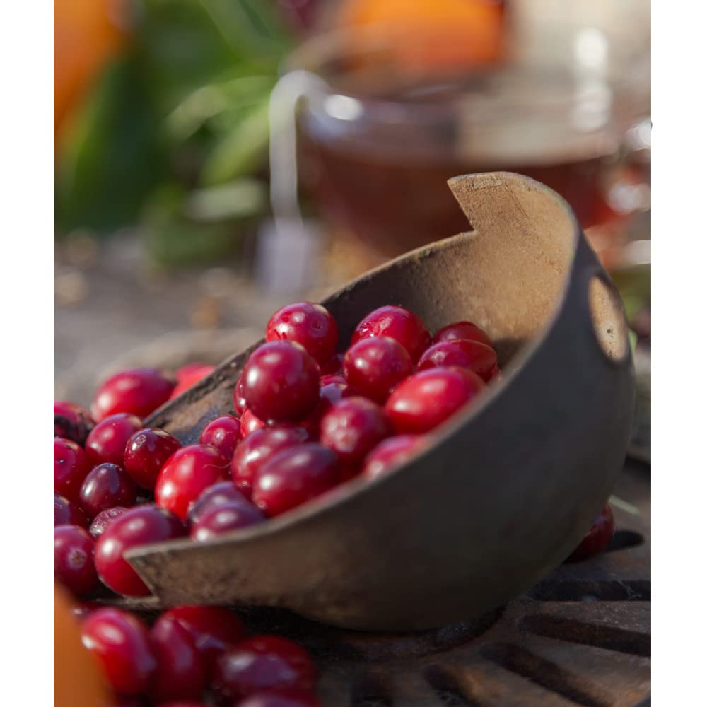 Harney & Sons Cranberry Autumn 30 Count Sachet Tin