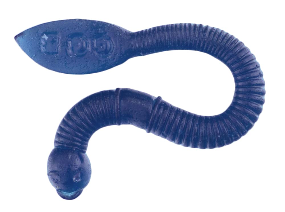 Gummy Fishing Worms - Reel-In Flavorful Fun with GGB Candies! You'll Fall for this Candy Experience, Hook, Line, and Sinker! (Cherry/Blue Raspberry
